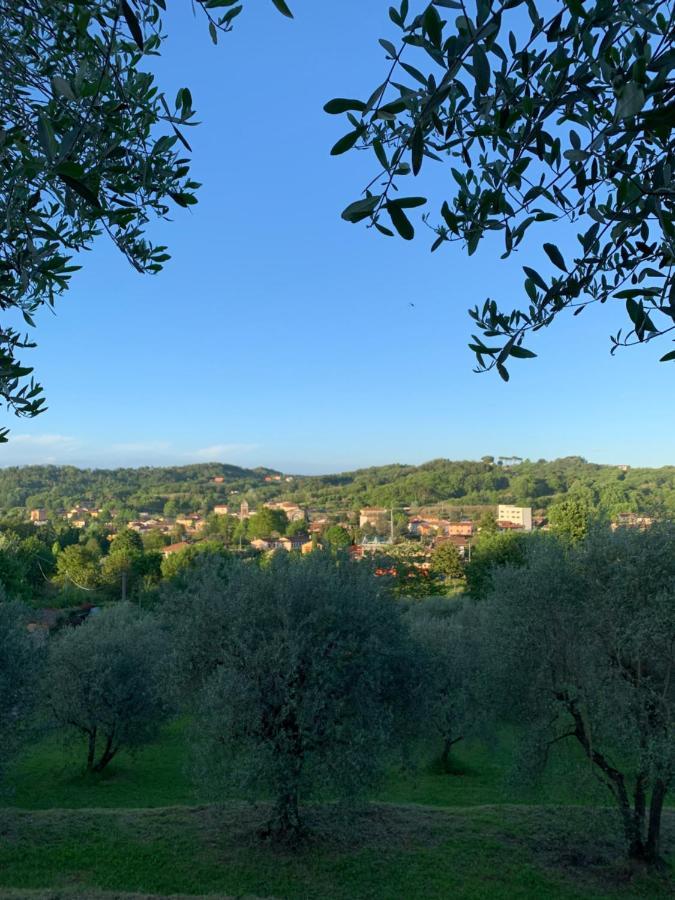 Marziani Rustic Tuscan House Capannori Esterno foto